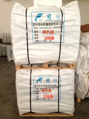 Packing container bag (pallet packaging)